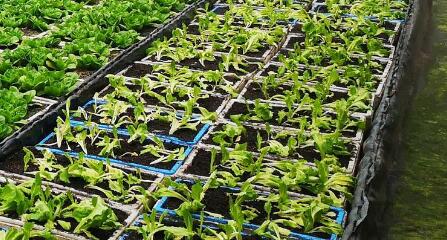 測土配方的儀器去哪里買更靠譜？